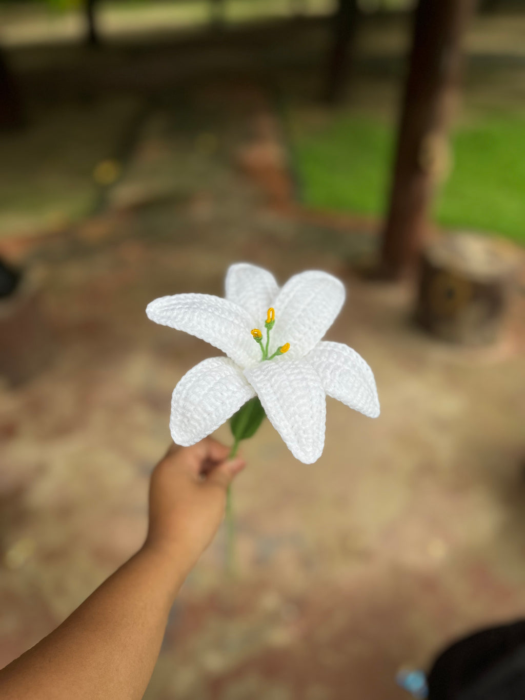 Single Lily
