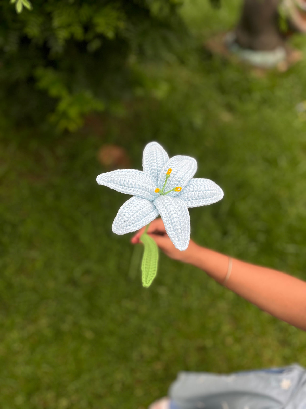 Single Lily