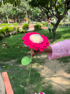 Gulabi Convertible Doll