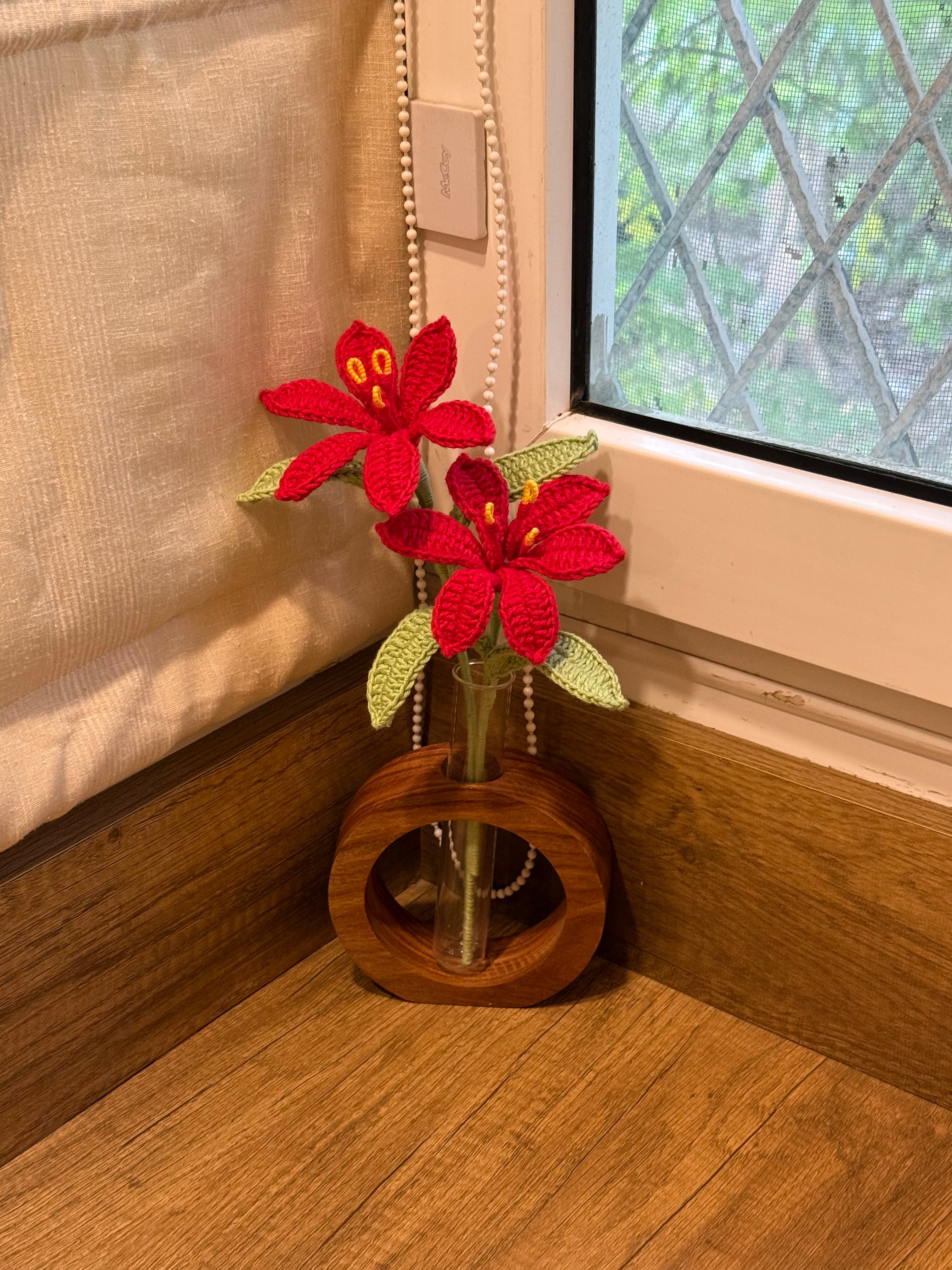 Desk Garden