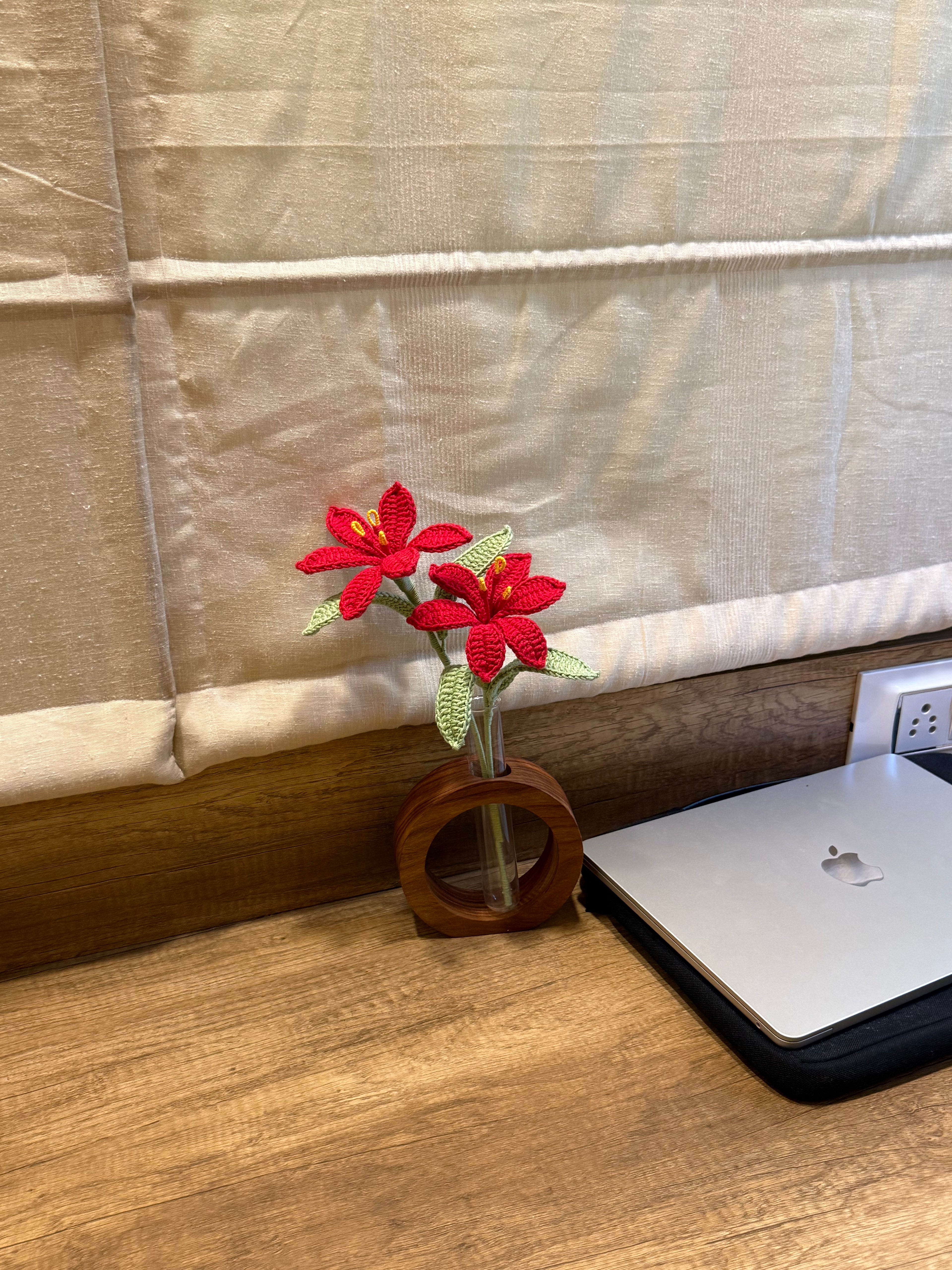 Desk Garden
