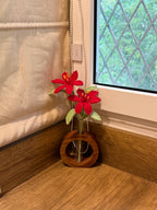 Desk Garden
