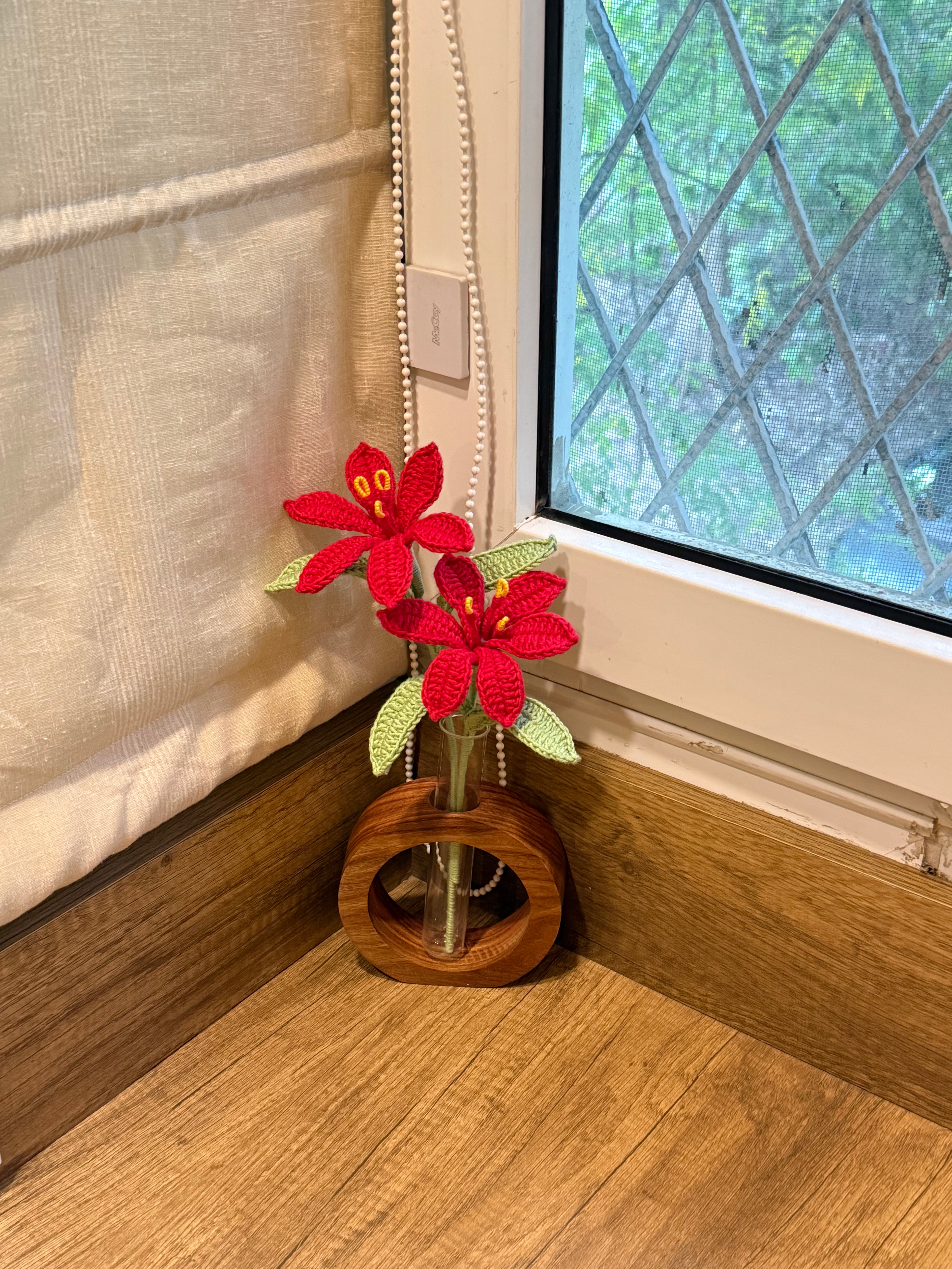 Desk Garden