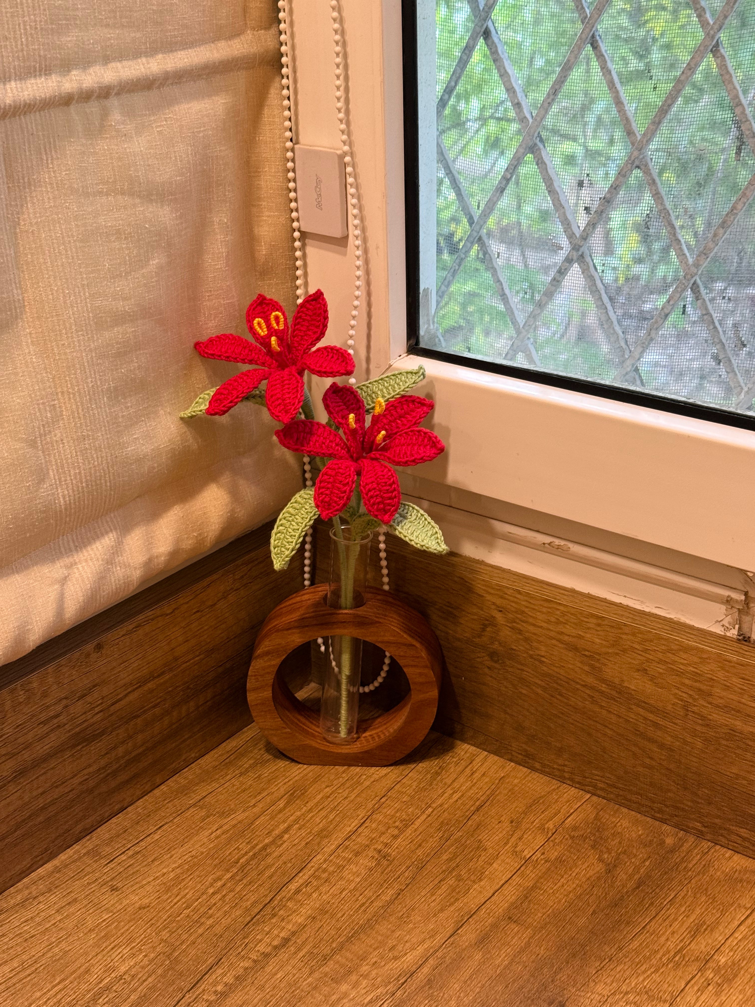 Desk Garden