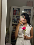 Fairy Rose