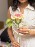 Thai Rose