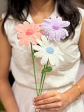 Daisy Days
