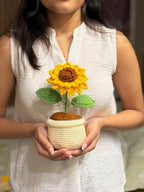 Large Sunflower Pot