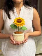 Large Sunflower Pot