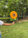 Mega Sunflower