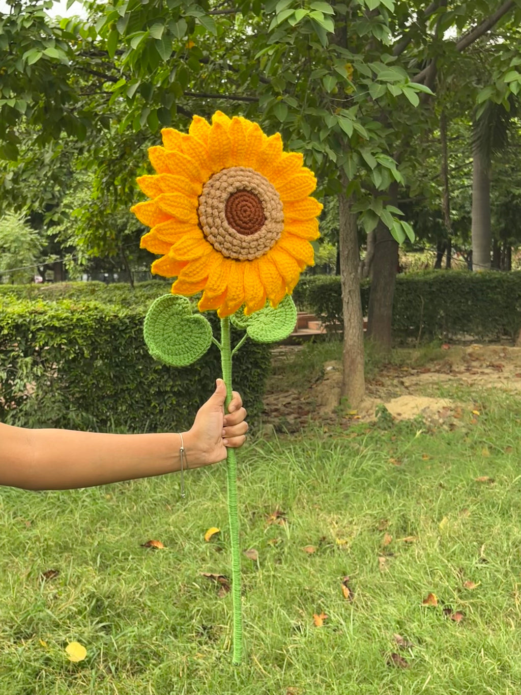 Mega Sunflower