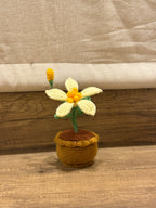 Butter Pot