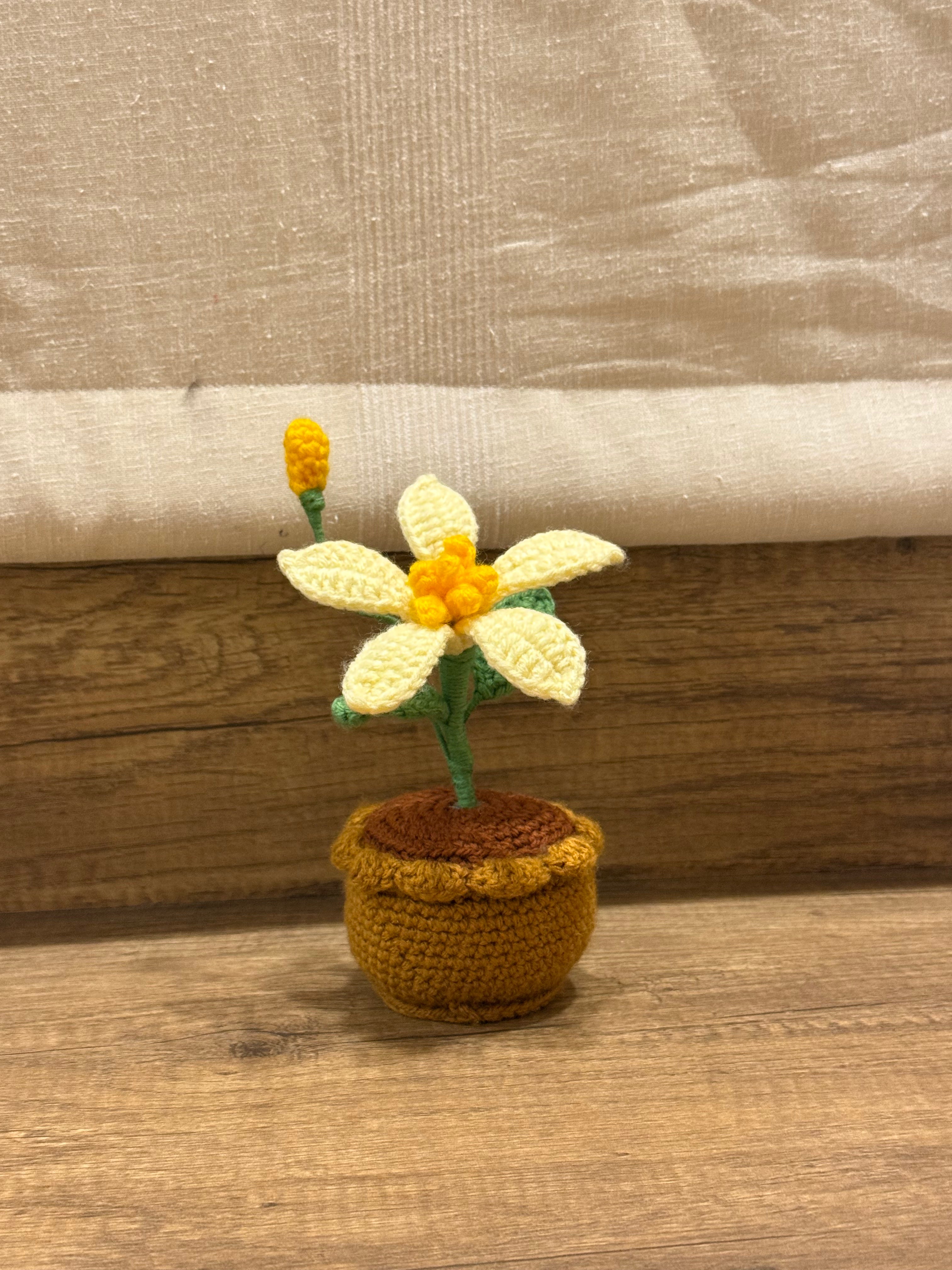 Butter Pot