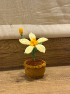 Butter Pot