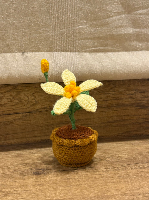 Butter Pot