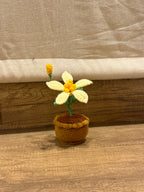 Butter Pot