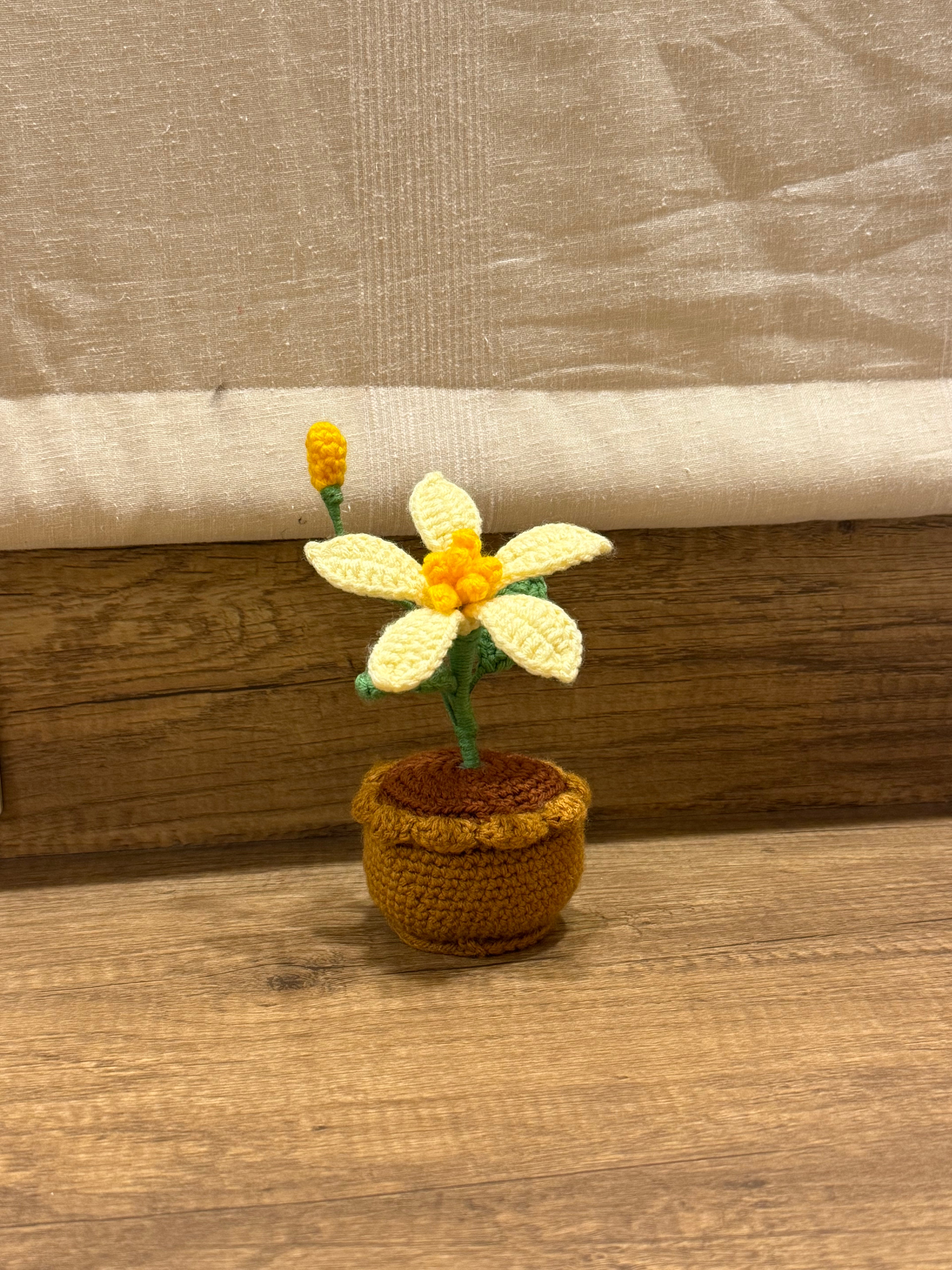 Butter Pot